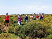 IMG_20250531_205019